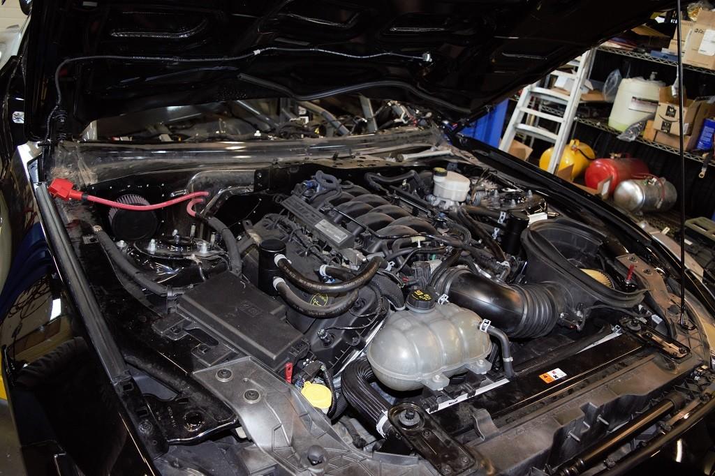 FPRS_GT350_R_3_2.jpg