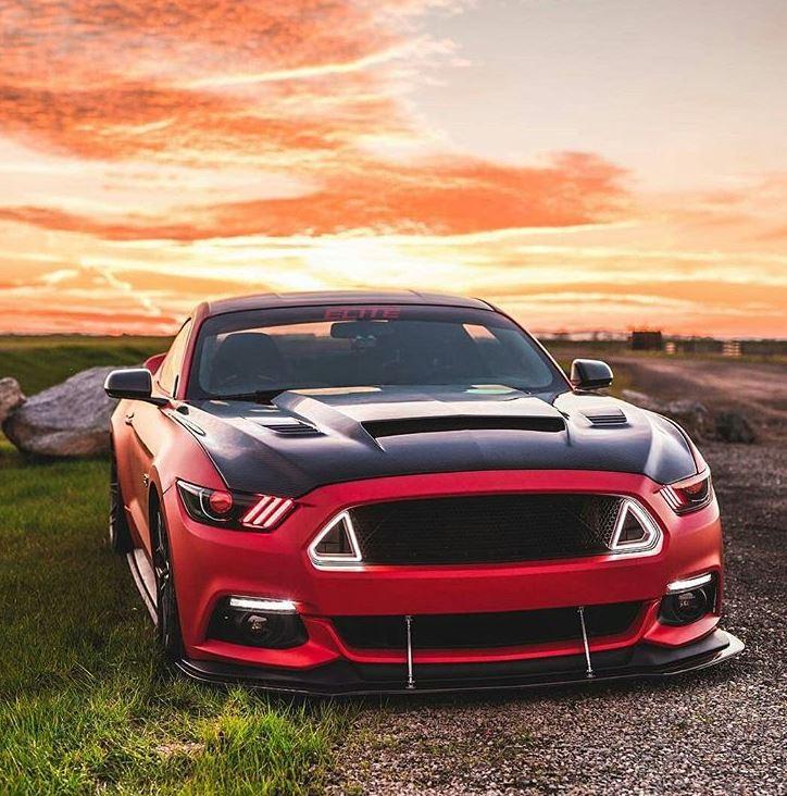 mustang-forum_1_Ws550_snake.jpg