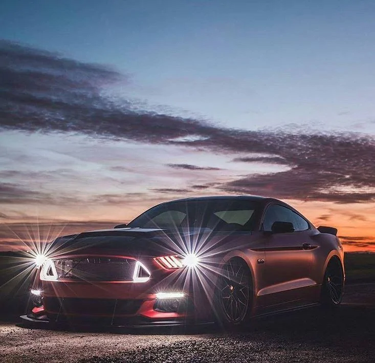 forum-shot-approved-s550snake.webp
