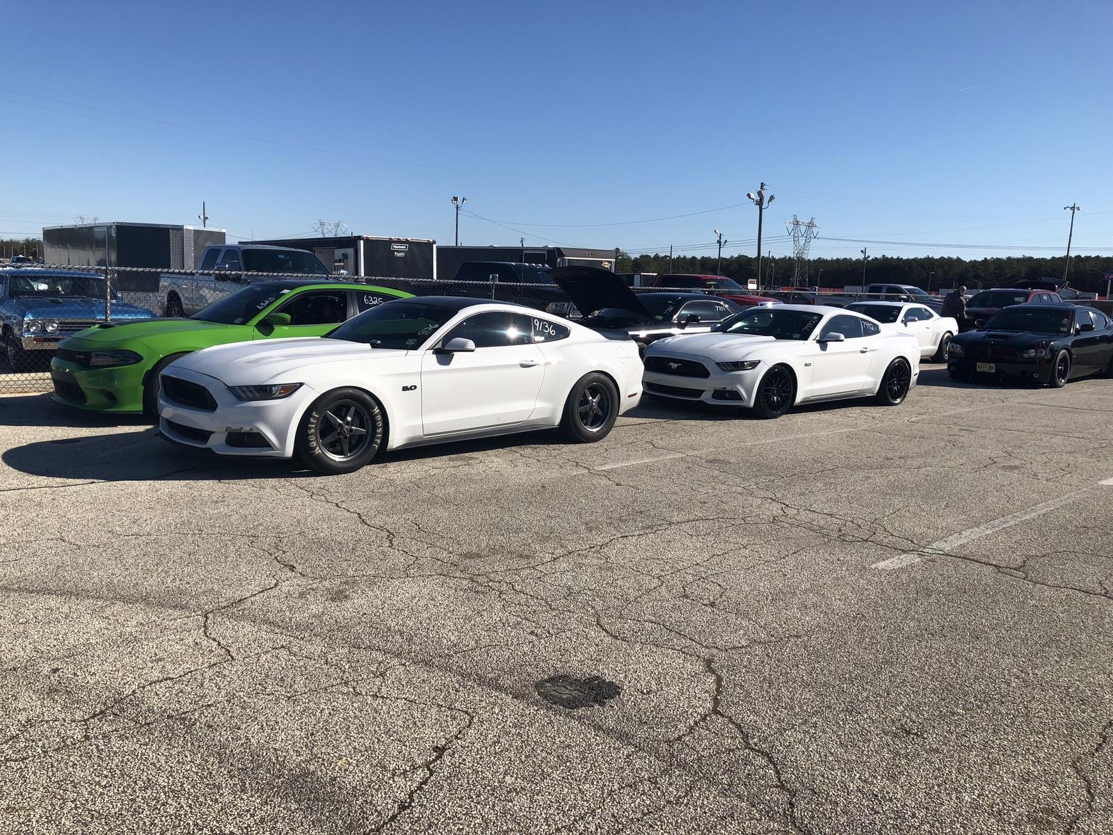 377357IMG_7553.jpg