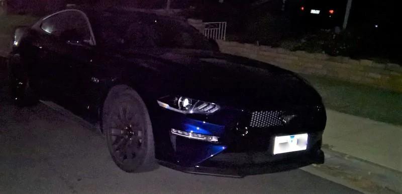 2018_mustang_spotted.webp