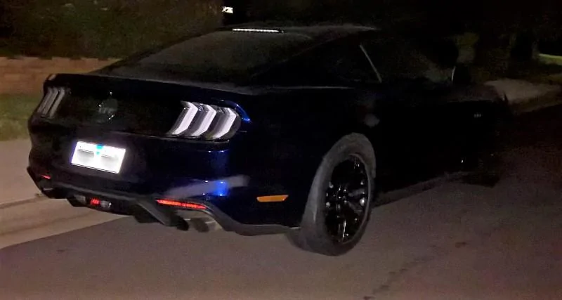 2018_mustang_spotted_two.webp
