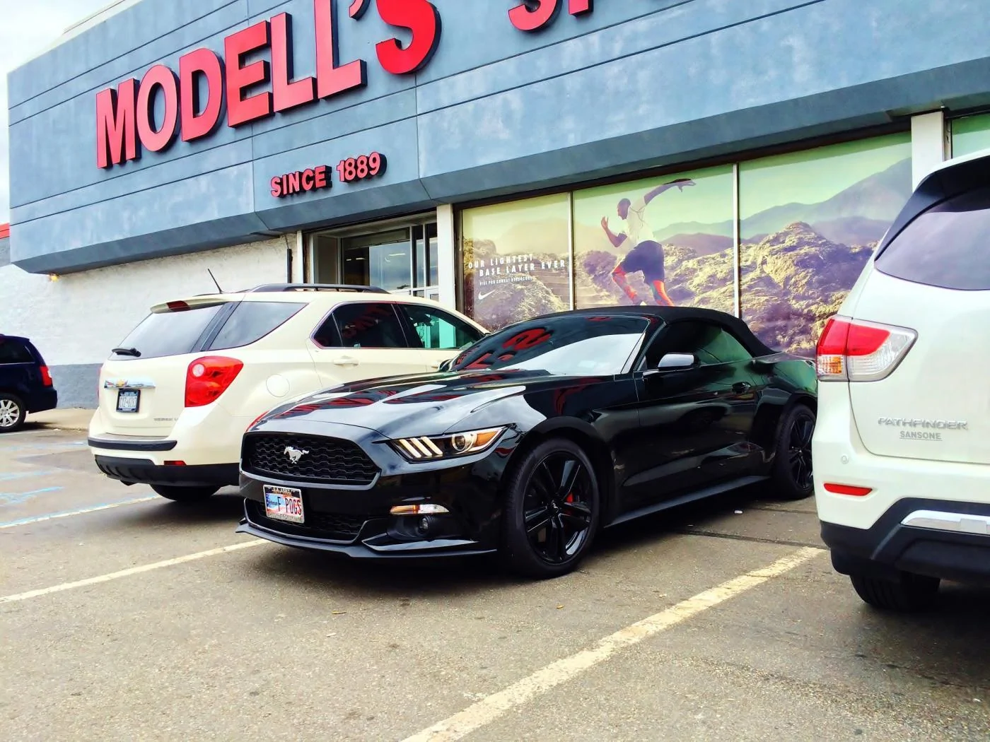 modells.webp
