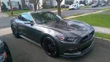 mustang.webp