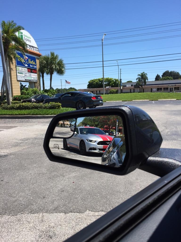 ImageUploadedByTapatalk1430683399.551857.jpg