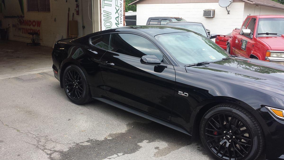 mustang resize 2.jpg