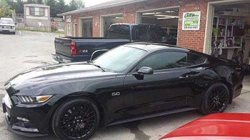 mustang resize_opt.jpg