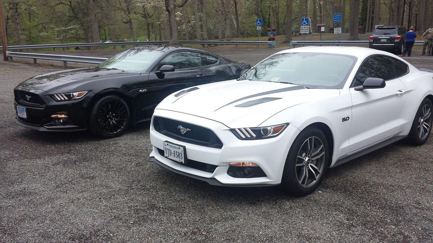 reggies stang.jpg