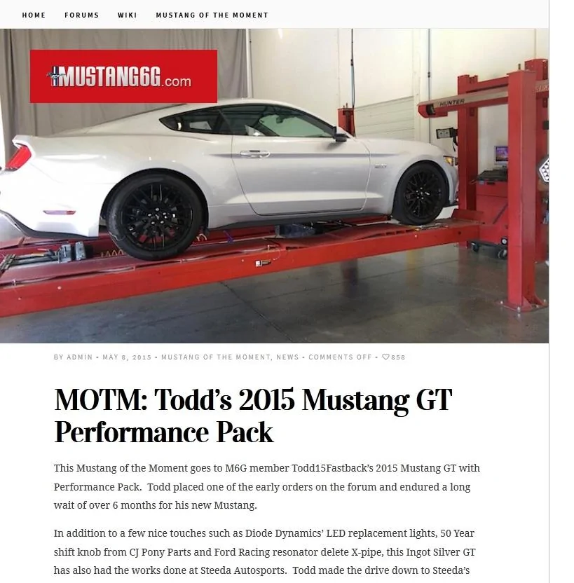 Mustang of the Moment 6G.webp
