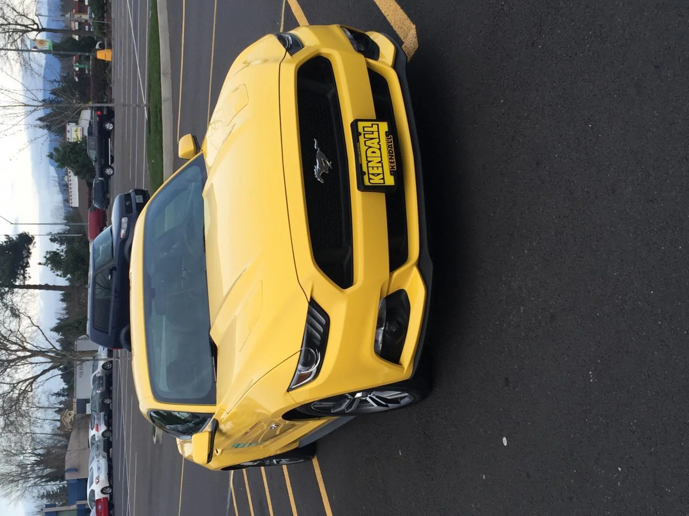 image.webp