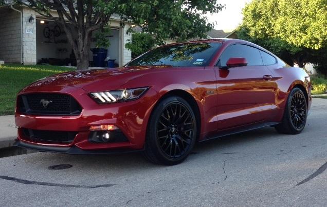 Ruby with Pinnacle Spray Wax 1.jpg
