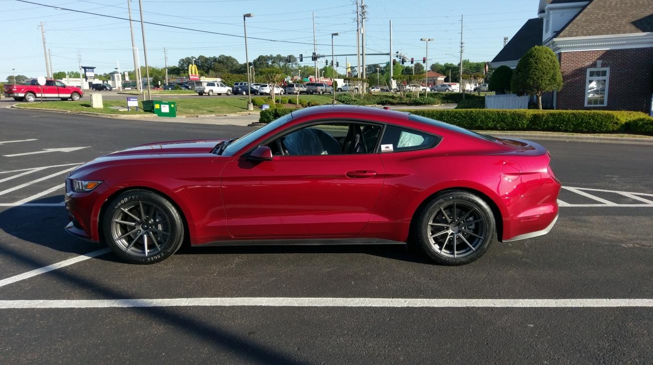 picture.jpg
