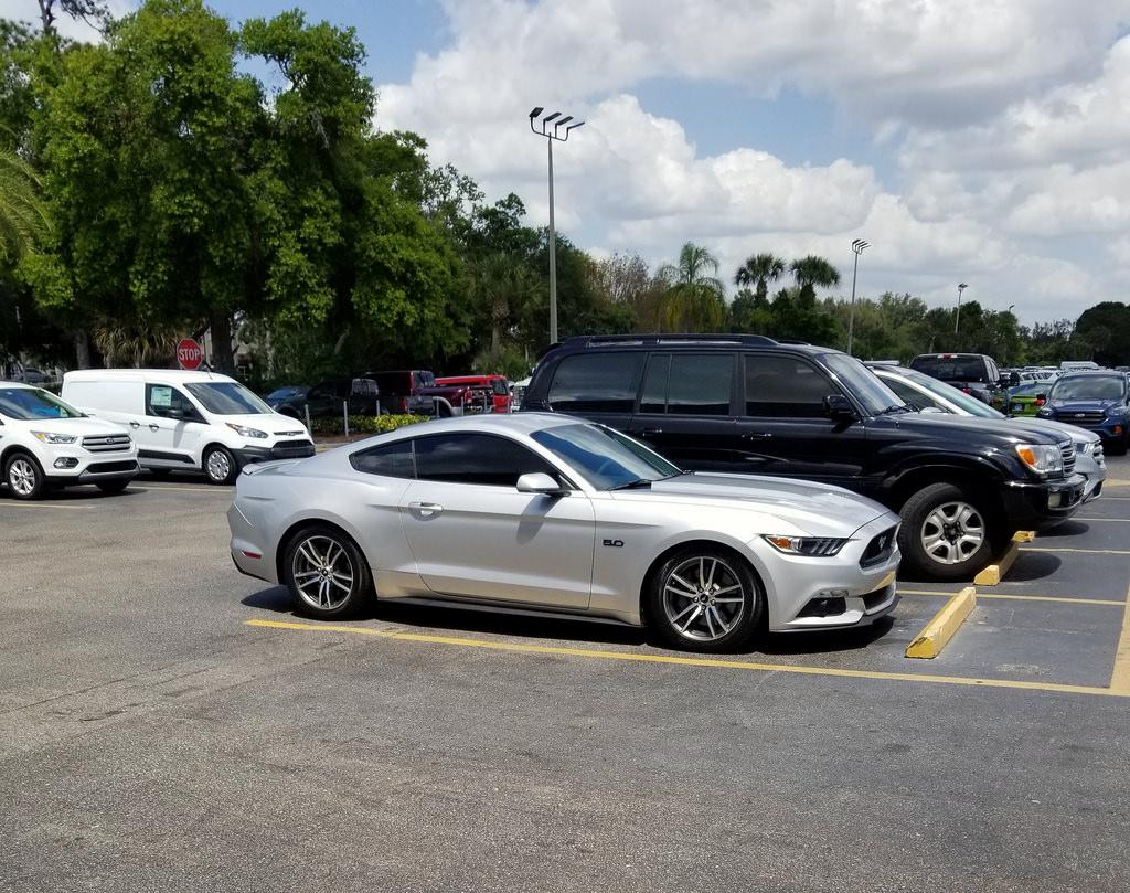 27967995788_634a4b59e4_b.jpg