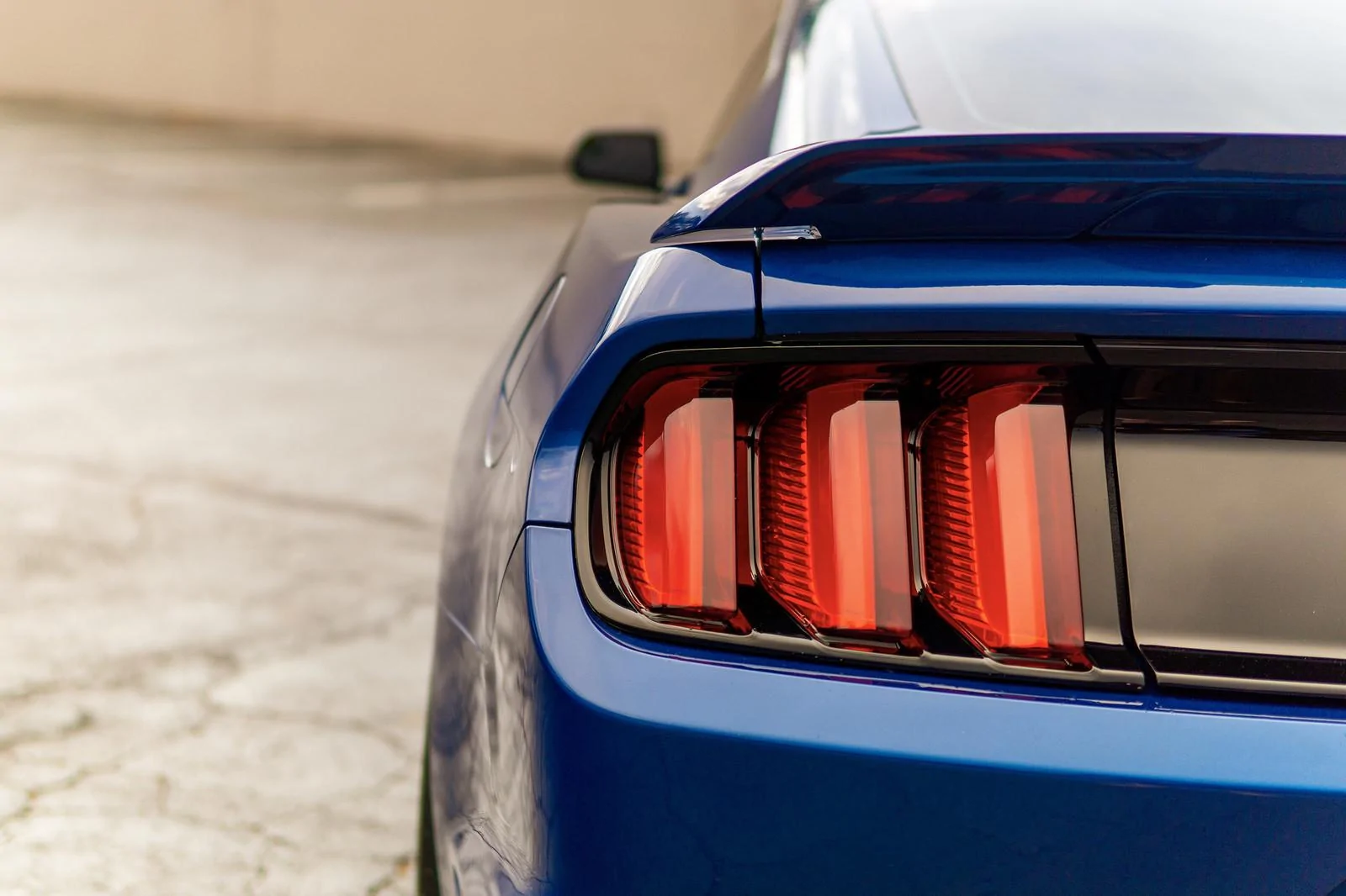 41199045994_1448143a68_h.webp
