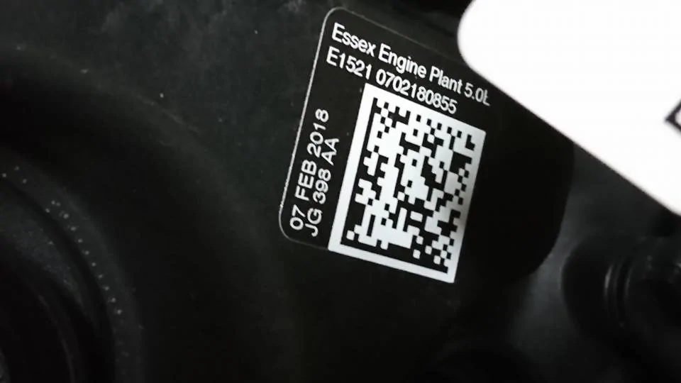 32081595_10155952311764681_1110715200291471360_n.webp