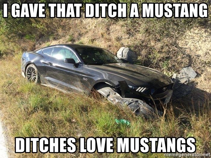 i-gave-that-ditch-a-mustang-ditches-love-mustangs.jpg
