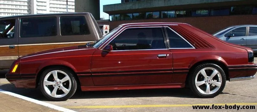 65549d1238616446-will-87-ground-effects-fit-my-1981-mustang-80_hatch_2_1.webp