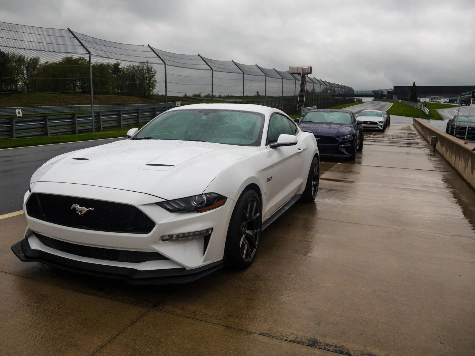 Mustang-2.webp