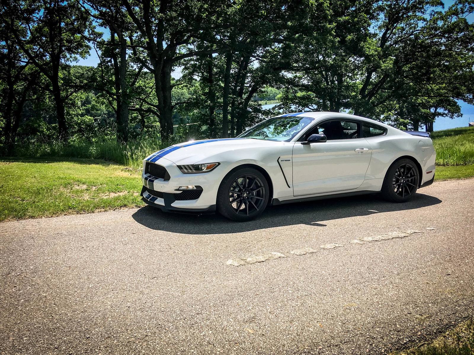 gt350.jpg