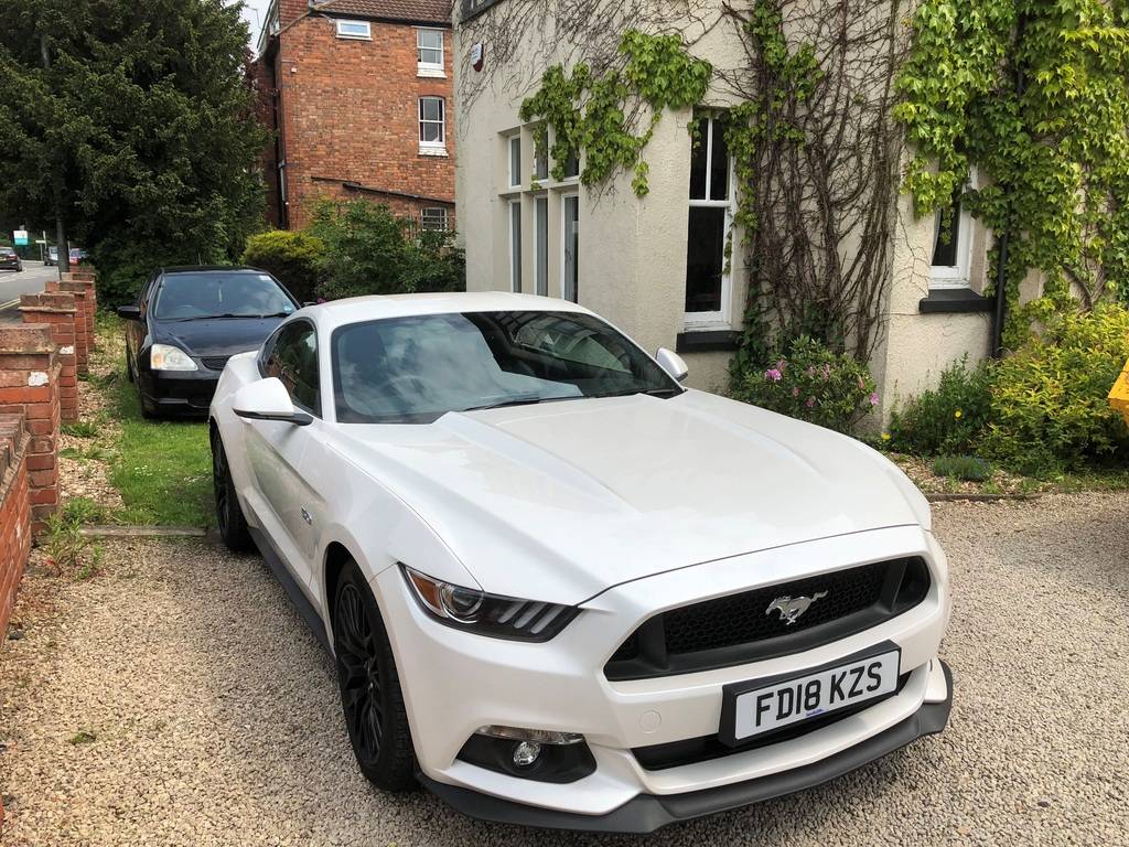 Mustang.jpg