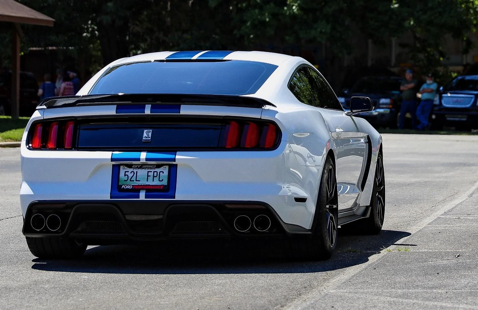 28989355998_03fd79057c_h.webp