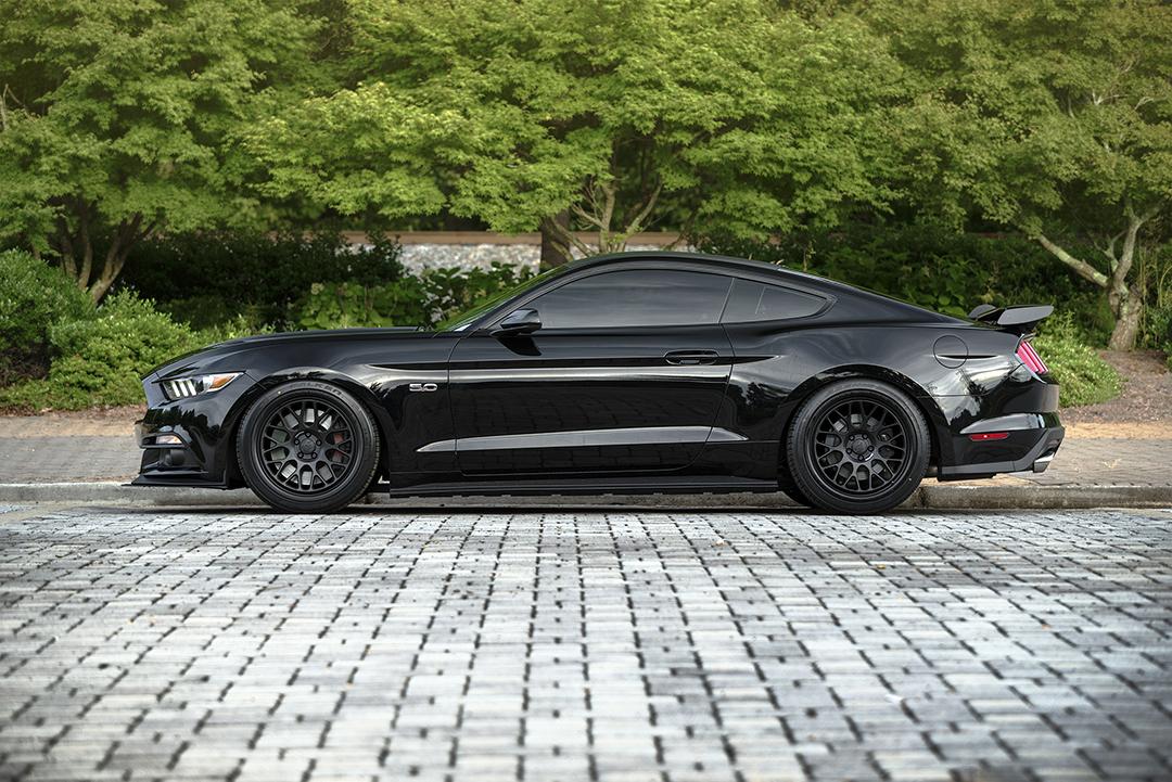 moooooostang_1080.jpg