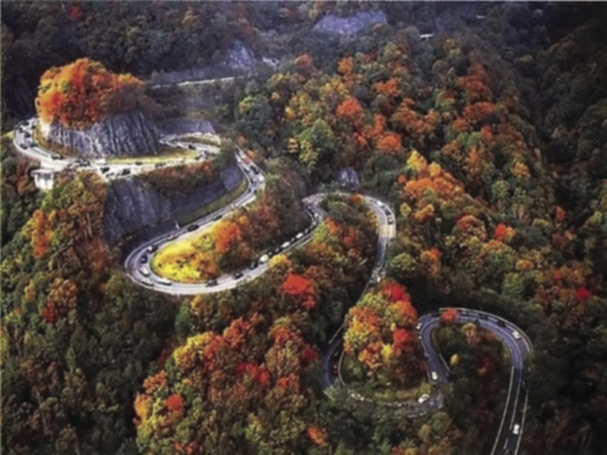 580a32abc8623.image.webp
