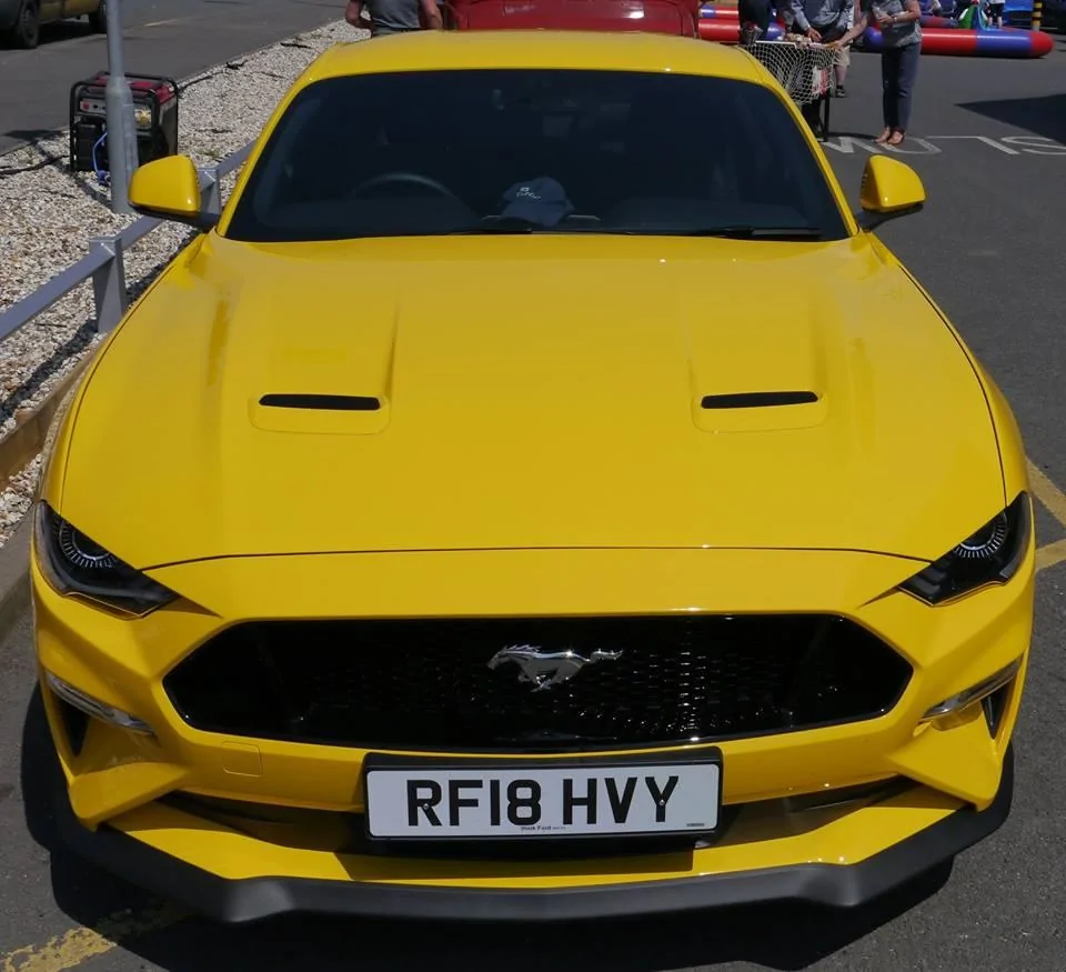 36748398_1429964707104270_3173465027646586880_n.webp