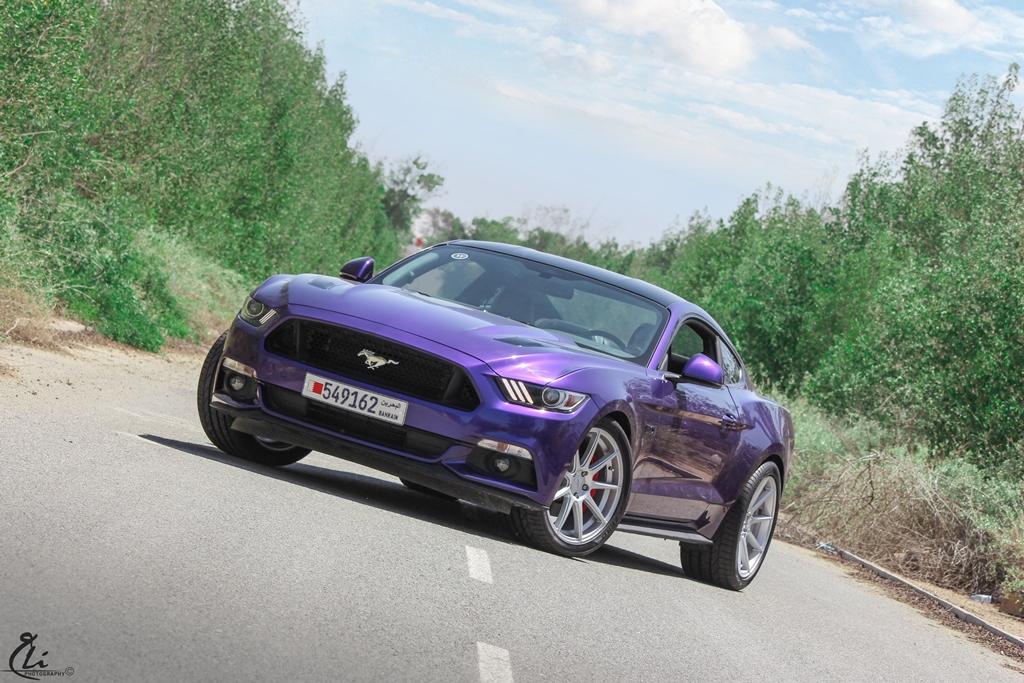 Purple-s550-VMB9-5.jpg