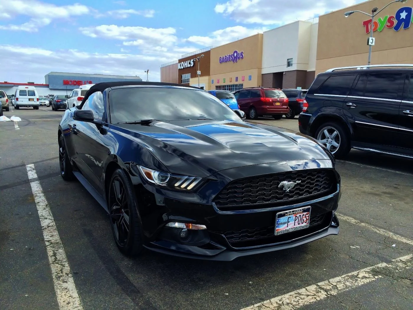 IMG_0787 (1900x1425) (1500x1125).webp