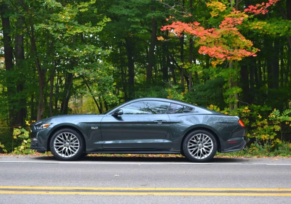 2015-Guard-Mustang1-013_zps32d81156.webp