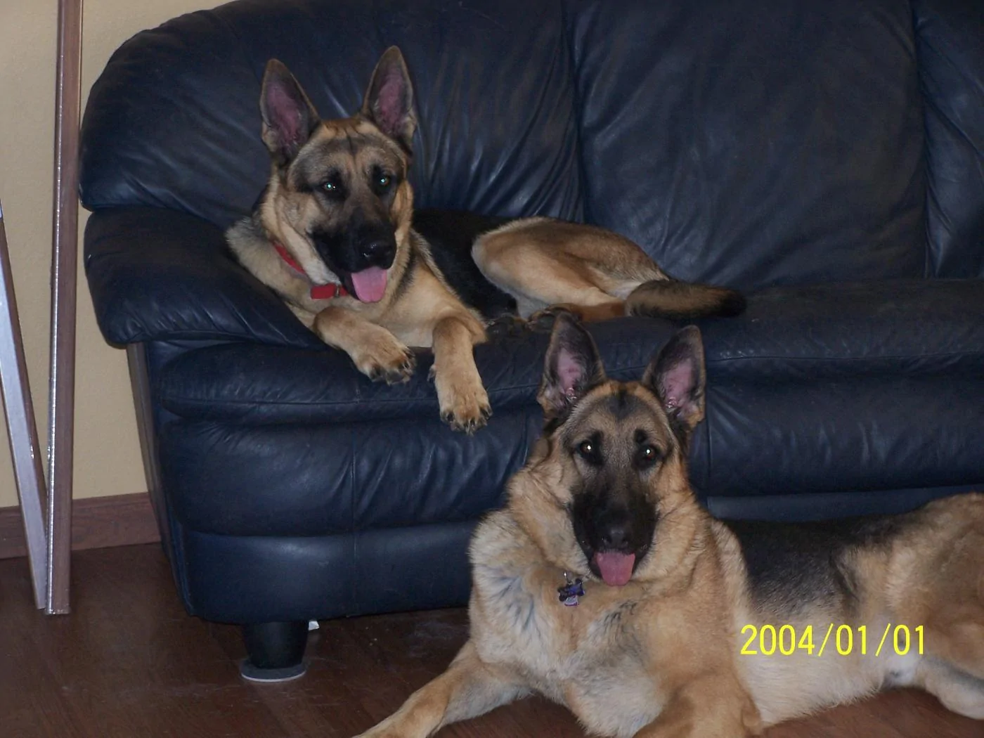 100_0690.webp
