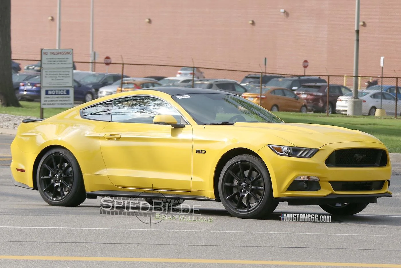 2016 Mustang GT Black Accent Package -4.webp
