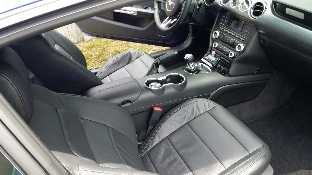 leather _1.webp