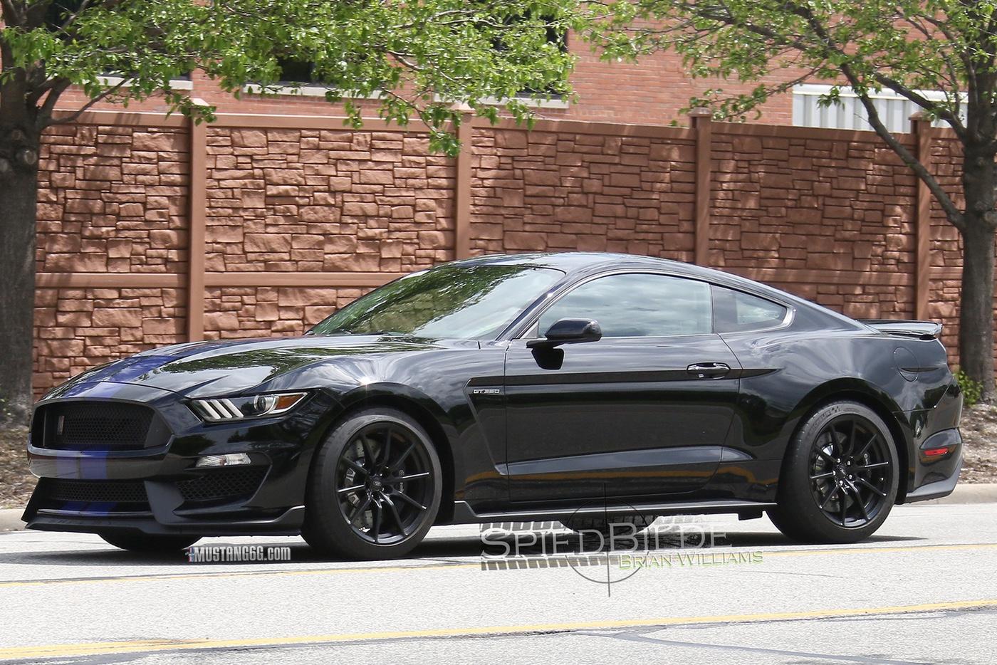 Black Shelby GT350 Mustang-7.jpg
