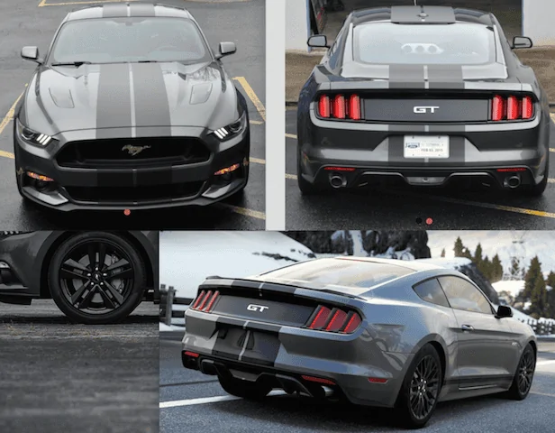 my mustang.webp