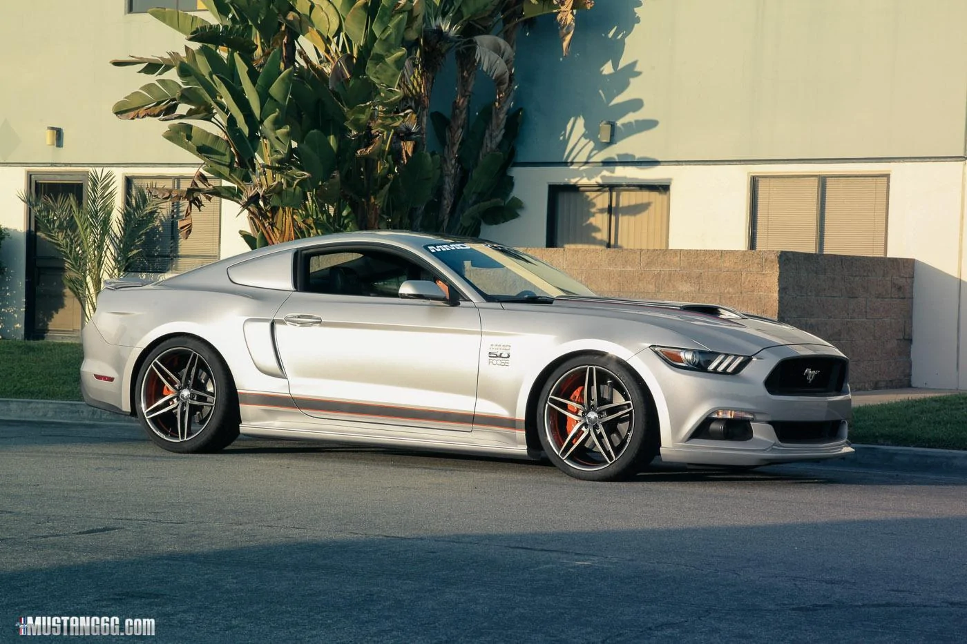 MMDbyFoose (4).webp