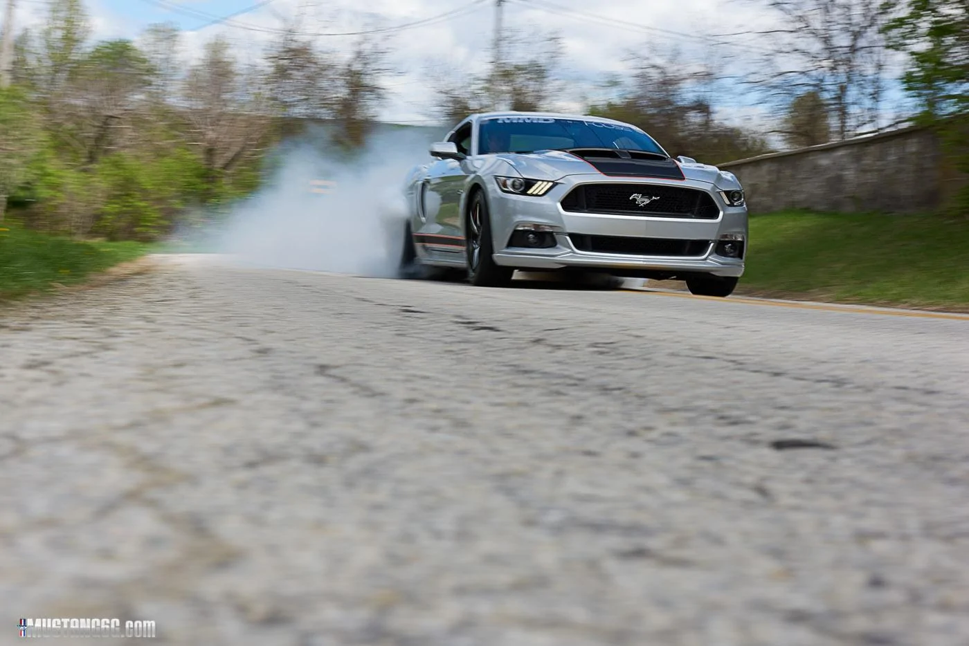 MMDbyFoose (11).webp