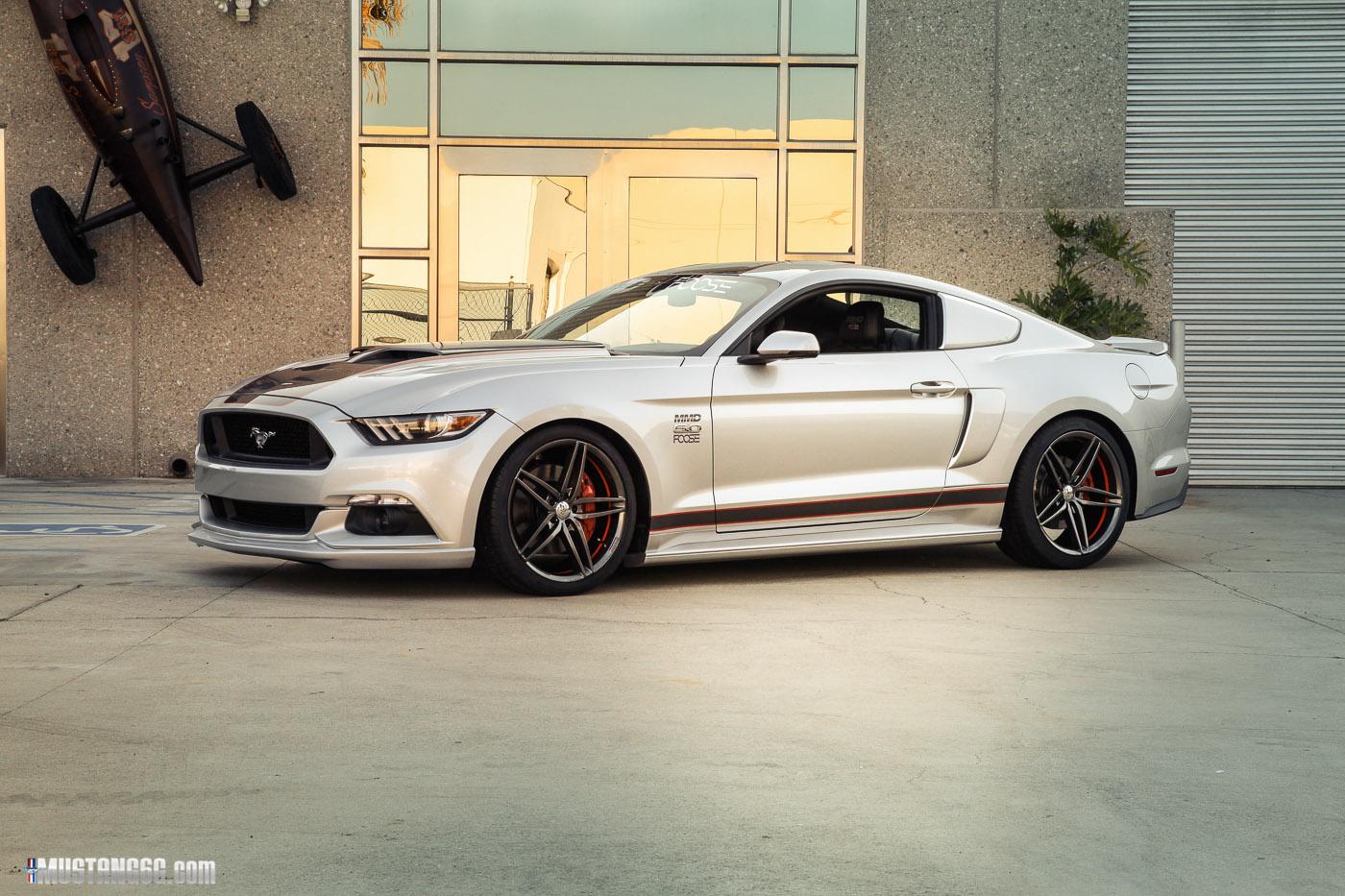 MMDbyFoose (12).jpg