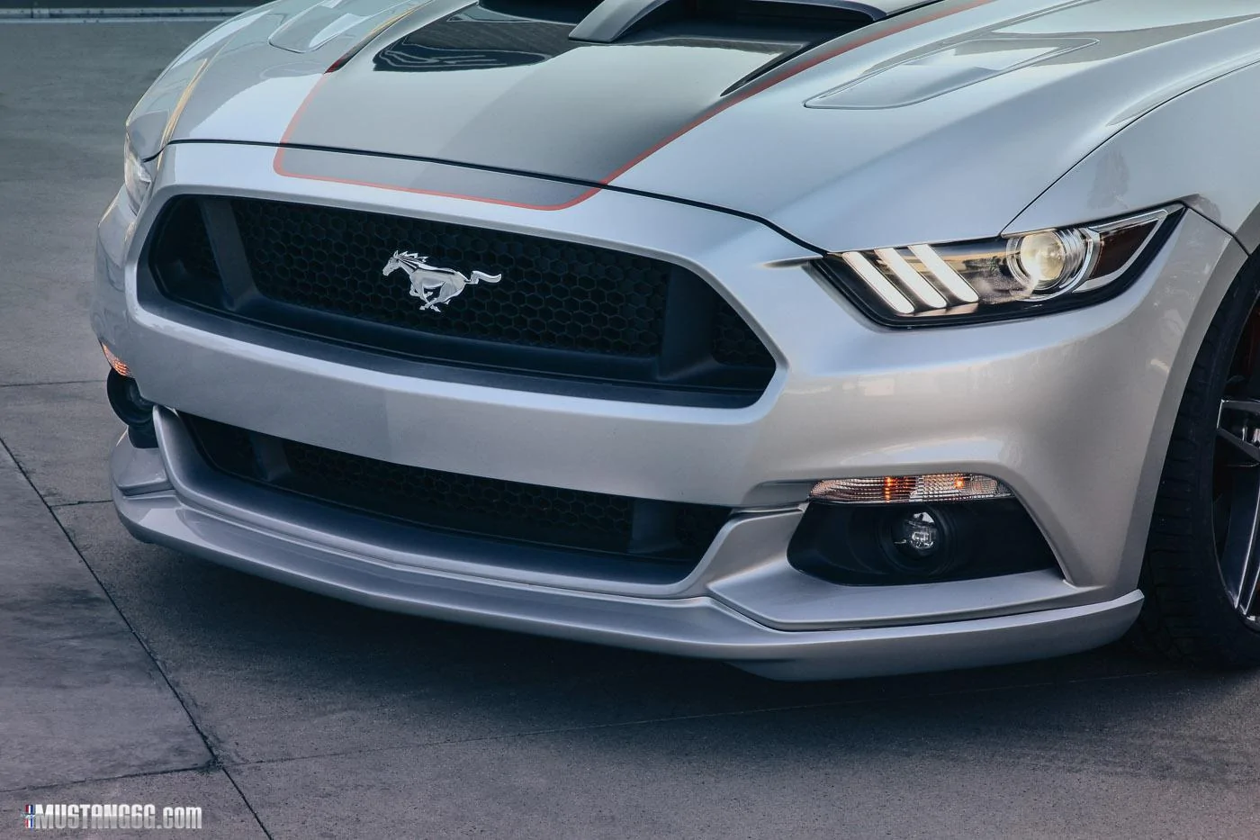 MMDbyFoose (16).webp