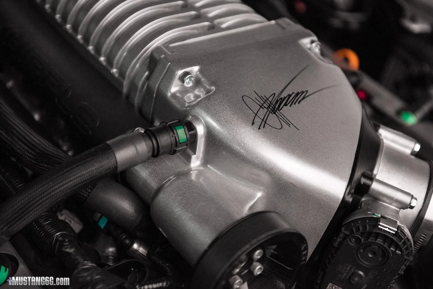 MMDbyFoose (20).webp