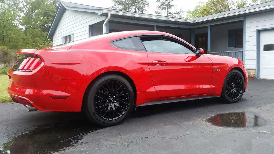 Mustang.jpg