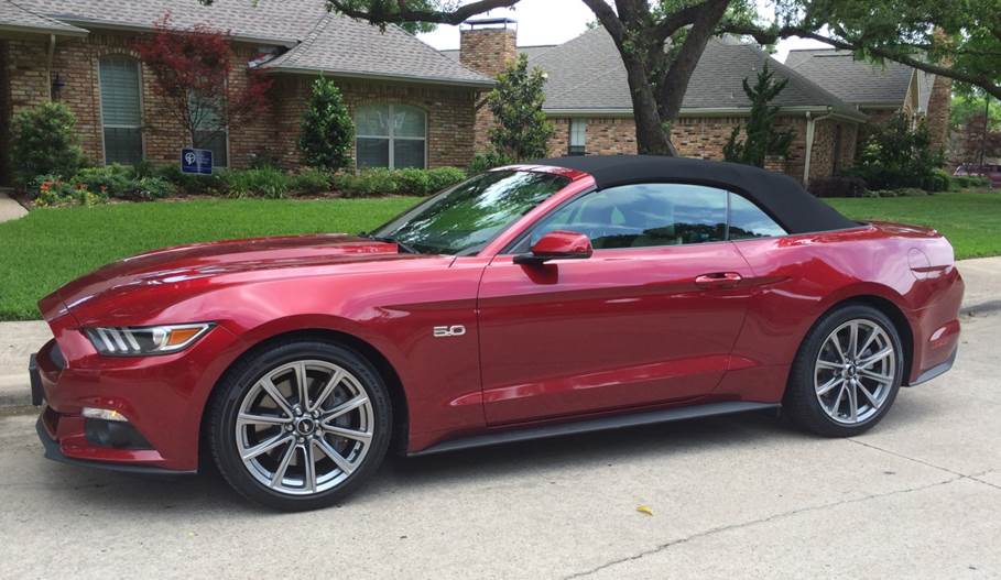 Mustang2.jpg