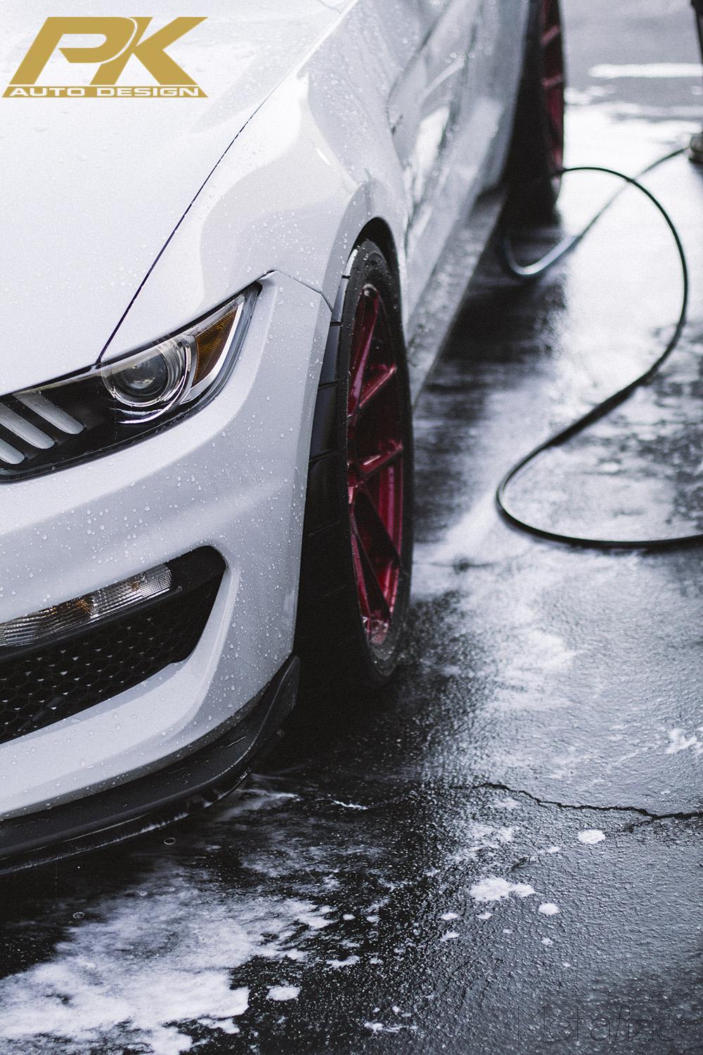 elby-gt350-bc-forged-eh181-eibach-springs-mgw-shifter-mcleod-clutch-watson-roll-cage-project-ryu.jpg
