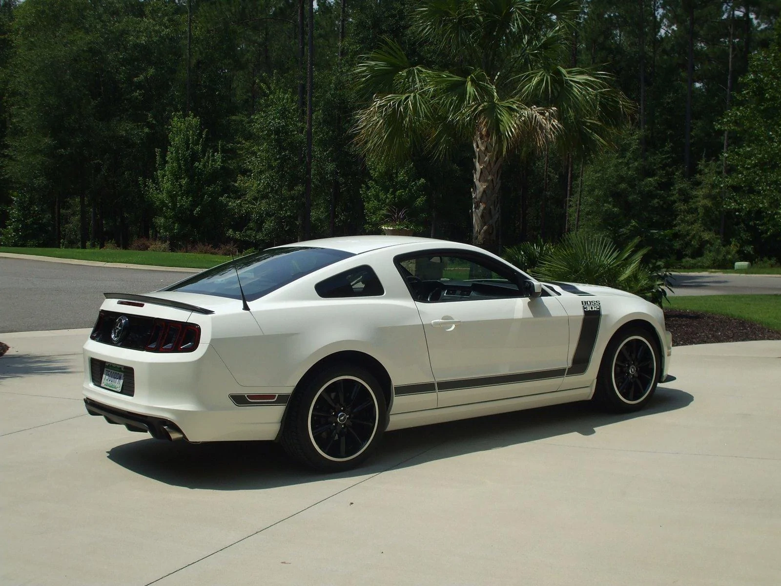 DSCF0678.webp