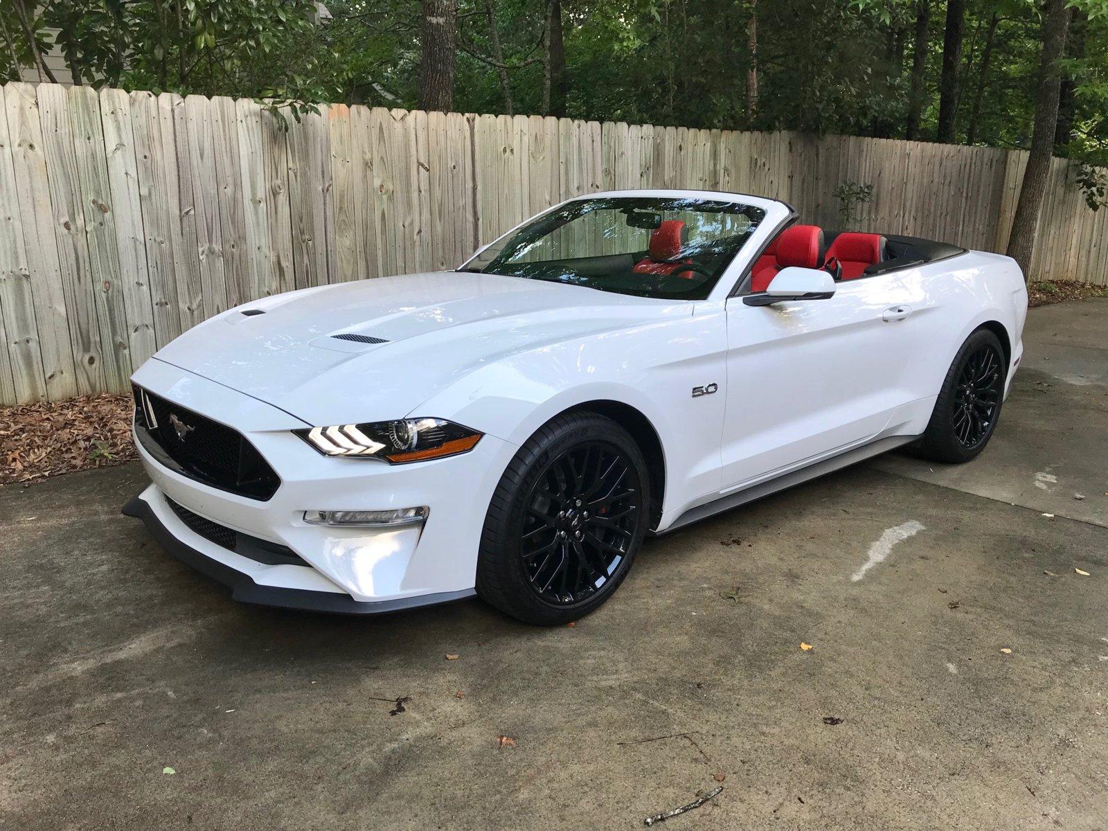 Mustang 1.jpg