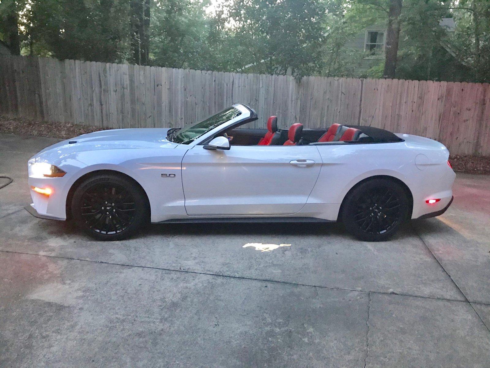 Mustang 2.jpg