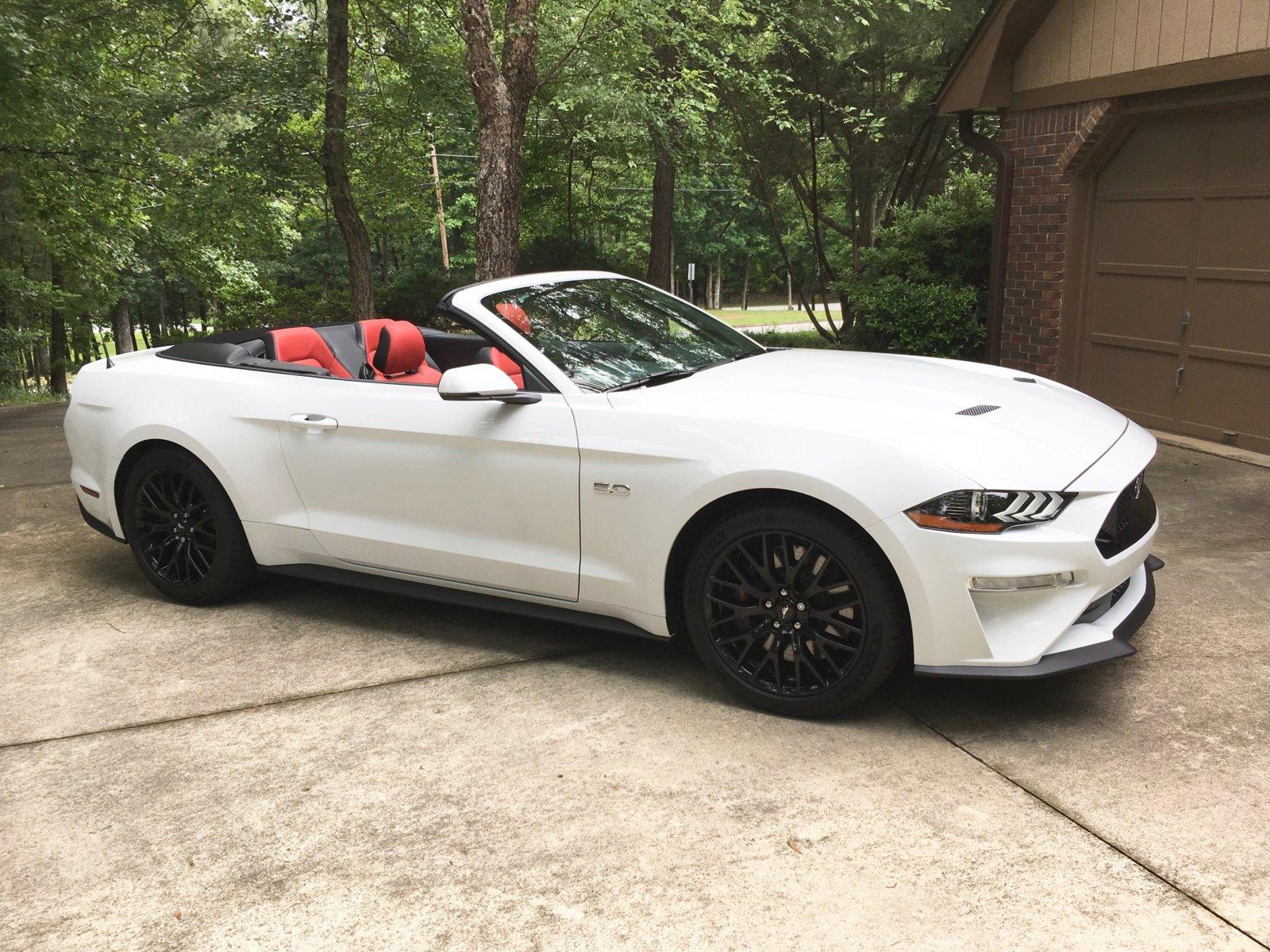 Mustang 3.jpg