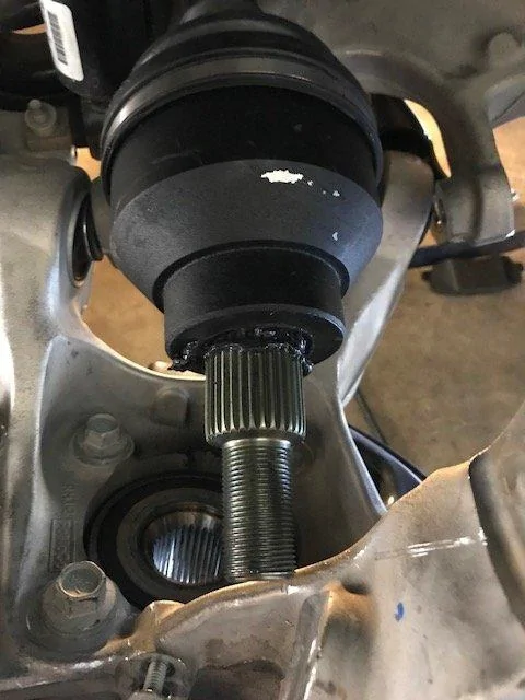 Copy of image6.webp