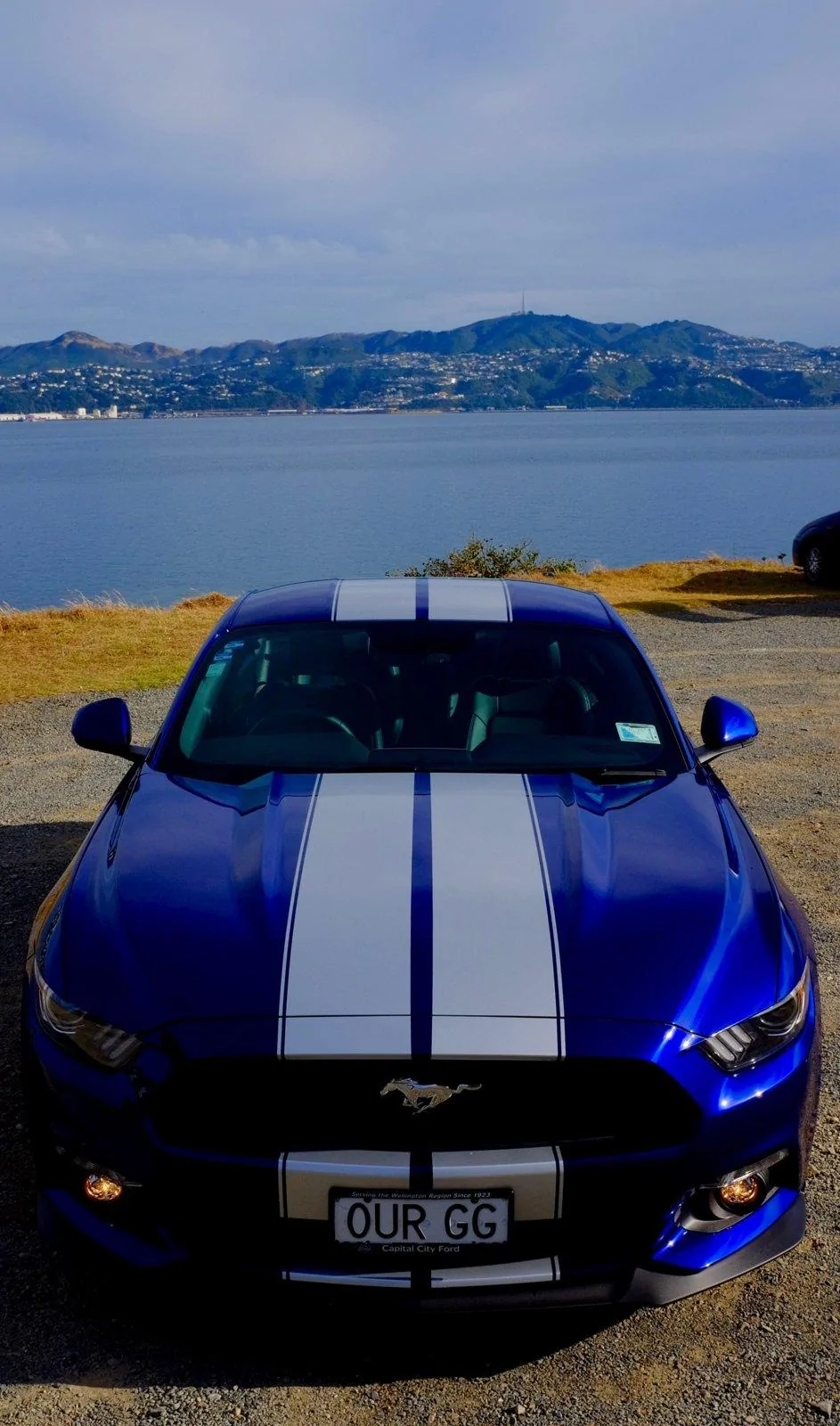 9E15919B-AEB6-4932-8BF7-3C5A8C3D110E.webp